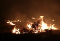 مهار آتش سوزی در ارتفاعات دراک شیراز