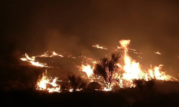 مهار آتش سوزی در ارتفاعات دراک شیراز